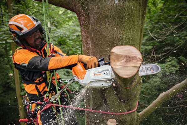Tronçonneuse à batterie Stihl MSA 220 TCO – Image 2