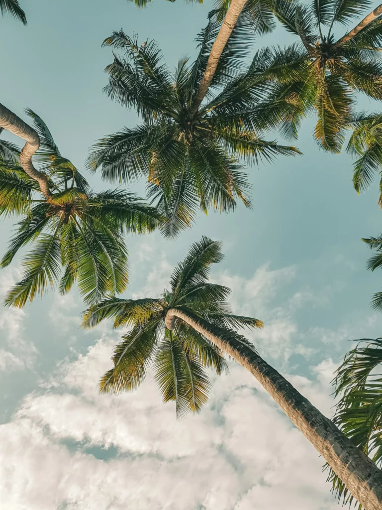 Le jardin et les vacances…
