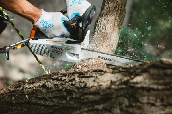 Tronçonneuse thermique Stihl MS 194 T – Image 3