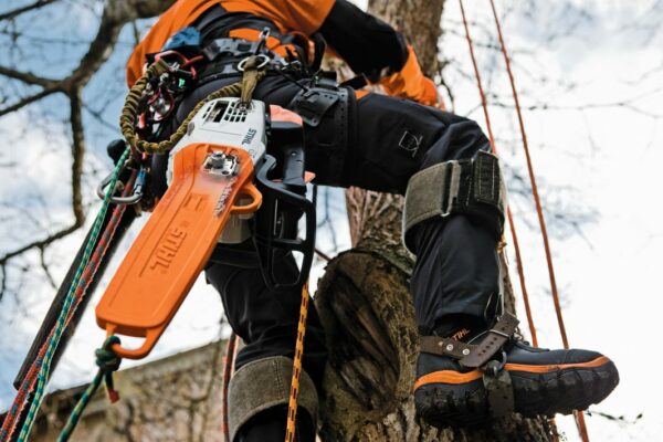 Tronçonneuse thermique Stihl MS 201 TC-M – Image 2