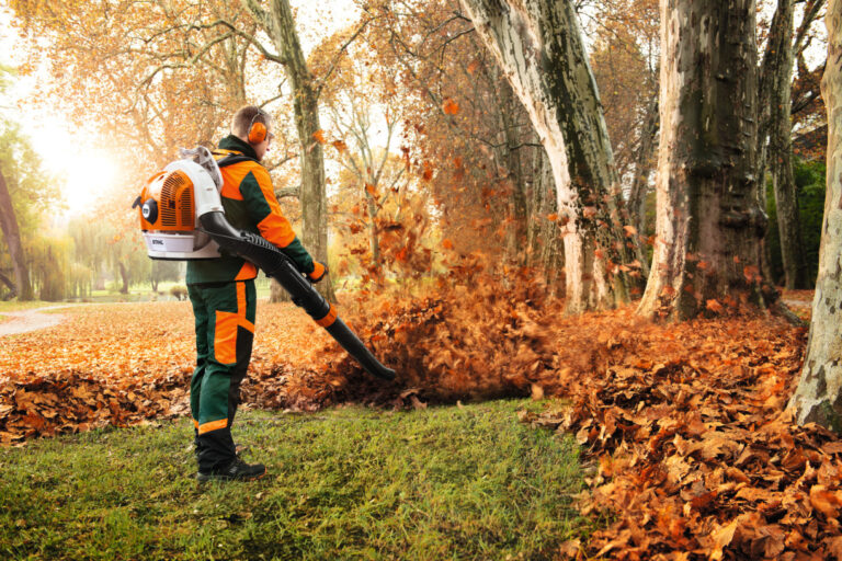 Jardinage en automne : les bons gestes et le matériel indispensable